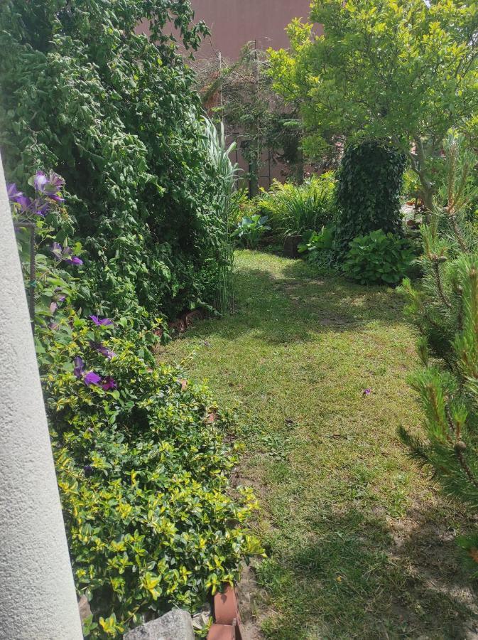 Pokoje Goscinne Cuma Leba Exterior foto