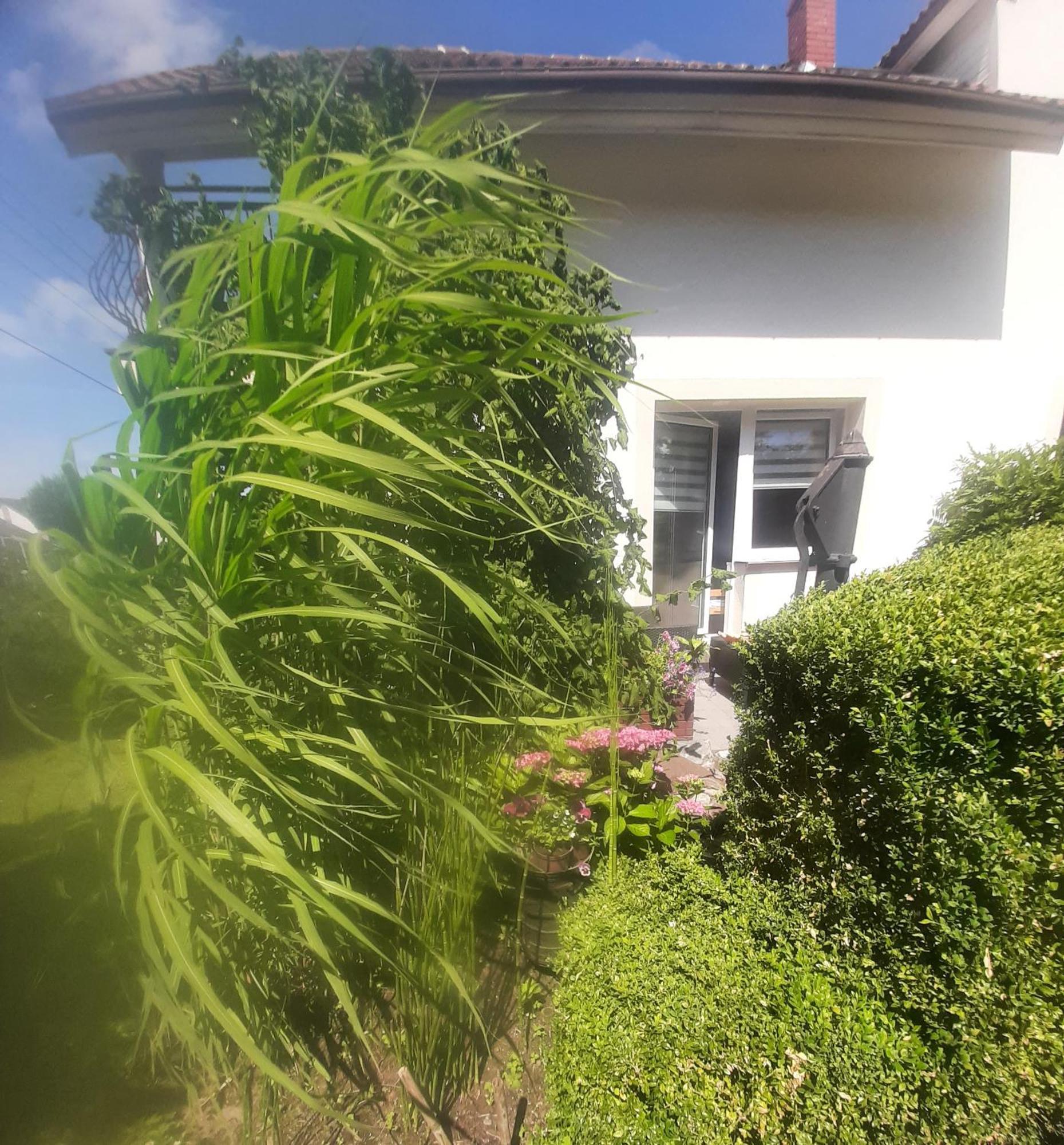 Pokoje Goscinne Cuma Leba Zimmer foto